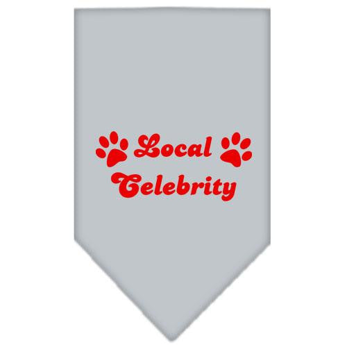 Local Celebrity Screen Print Bandana Grey Large