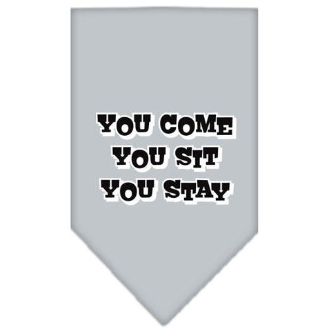 You Come, You Sit, You Stay Screen Print Bandana Grey Large