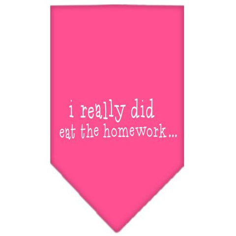 I really did eat the Homework Screen Print Bandana Bright Pink Large