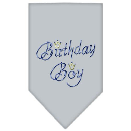 Birthday Boy Rhinestone Bandana Grey Large