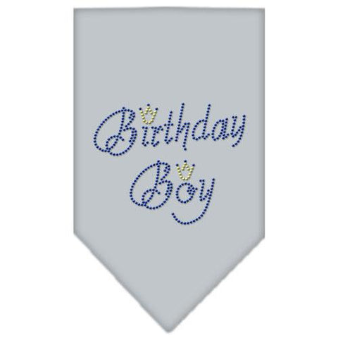 Birthday Boy Rhinestone Bandana Grey Large