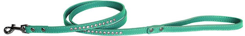 Clear Jewel Pet Leash 1-2" Wide X 4' Long Aqua