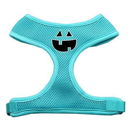 Pumpkin Face Design Soft Mesh Harnesses Aqua Small