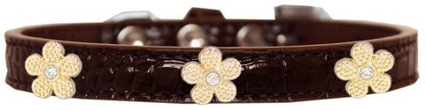 Gold Flower Widget Croc Dog Collar Chocolate Size 10