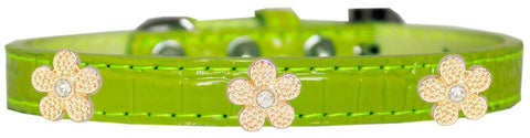 Gold Flower Widget Croc Dog Collar Lime Green Size 10