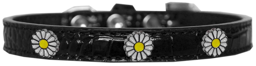 White Daisy Widget Croc Dog Collar Black Size 16