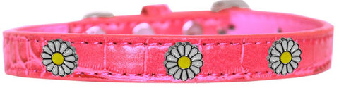 White Daisy Widget Croc Dog Collar Bright Pink Size 20