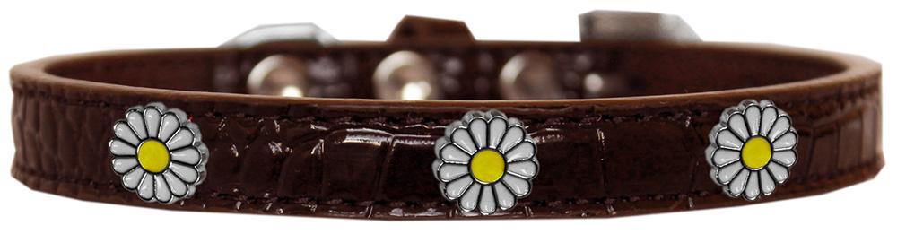 White Daisy Widget Croc Dog Collar Chocolate Size 18