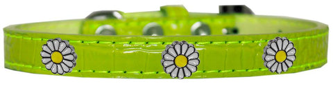 White Daisy Widget Croc Dog Collar Lime Green Size 20