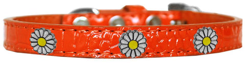 White Daisy Widget Croc Dog Collar Orange Size 10