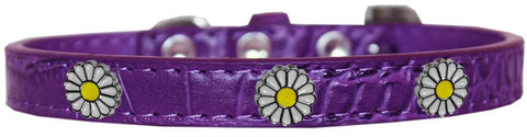 White Daisy Widget Croc Dog Collar Purple Size 10