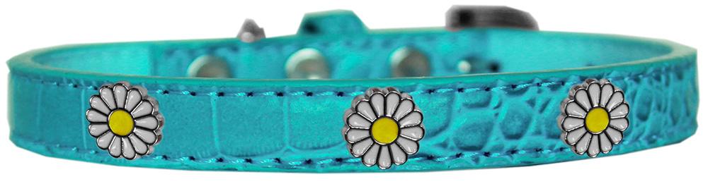 White Daisy Widget Croc Dog Collar Turquoise Size 14