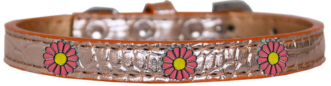 Pink Daisy Widget Croc Dog Collar Copper Size 18