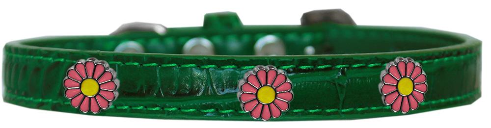 Pink Daisy Widget Croc Dog Collar Emerald Green Size 10