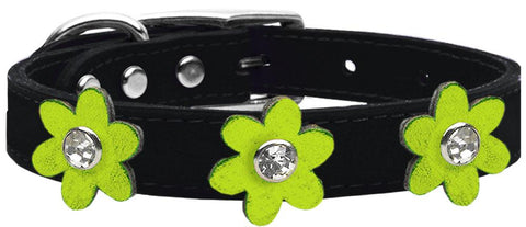 Metallic Flower Leather Collar Black With Metallic Lime Green Flowers Size 12