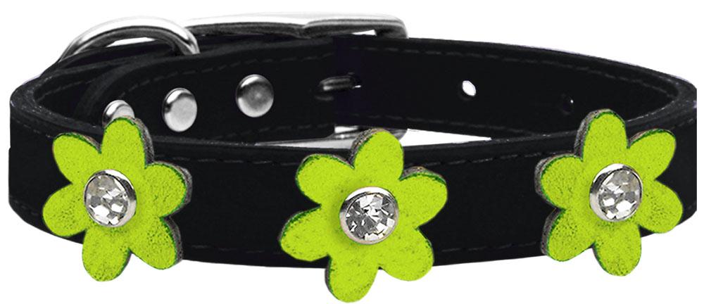 Metallic Flower Leather Collar Black With Metallic Lime Green Flowers Size 14