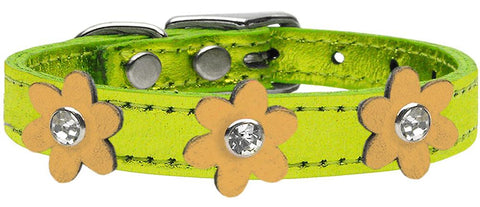 Metallic Flower Leather Collar Metallic Lime Green With Gold Flowers Size 10