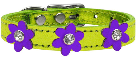 Metallic Flower Leather Collar Metallic Lime Green With Metallic Purple Flowers Size 10