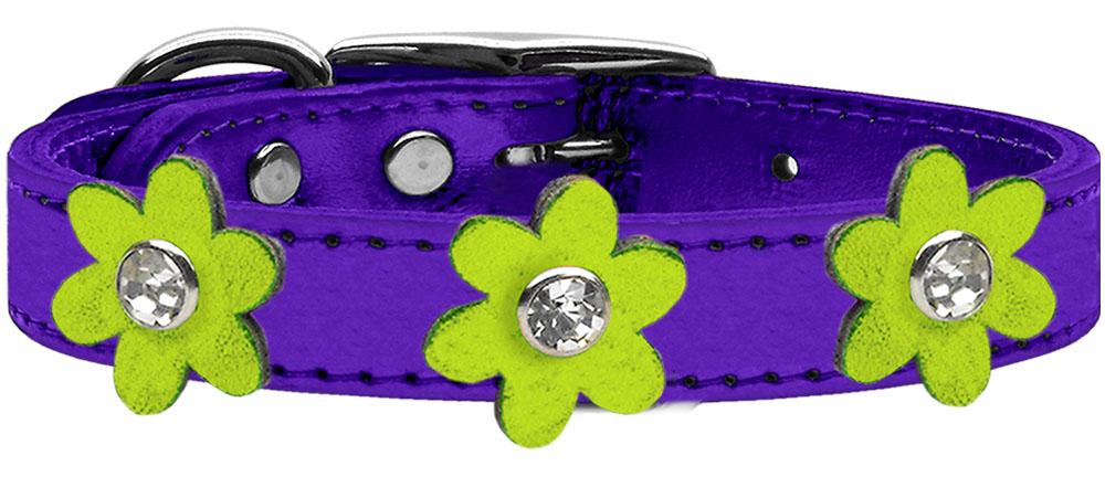 Metallic Flower Leather Collar Metallic Purple With Metallic Lime Green Flowers Size 10