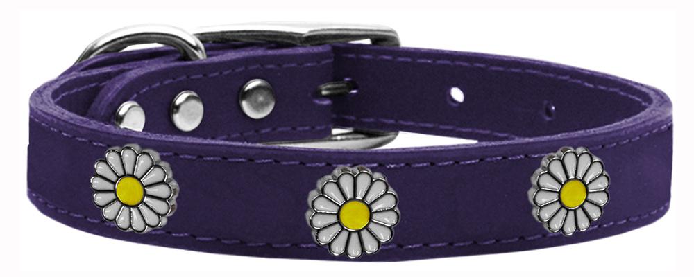 White Daisy Widget Genuine Leather Dog Collar Purple 12