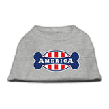Bonely in America Screen Print Shirt Grey XS (8)