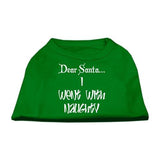 Dear Santa I Went with Naughty Screen Print Shirts Emerald Green Sm (10)