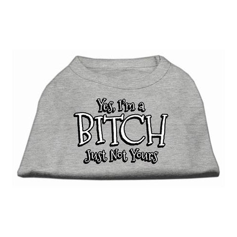 Yes Im a Bitch Just not Yours Screen Print Shirt Grey Lg (14)