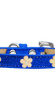 Gold Flower Widget Dog Collar Blue Ice Cream Size 10